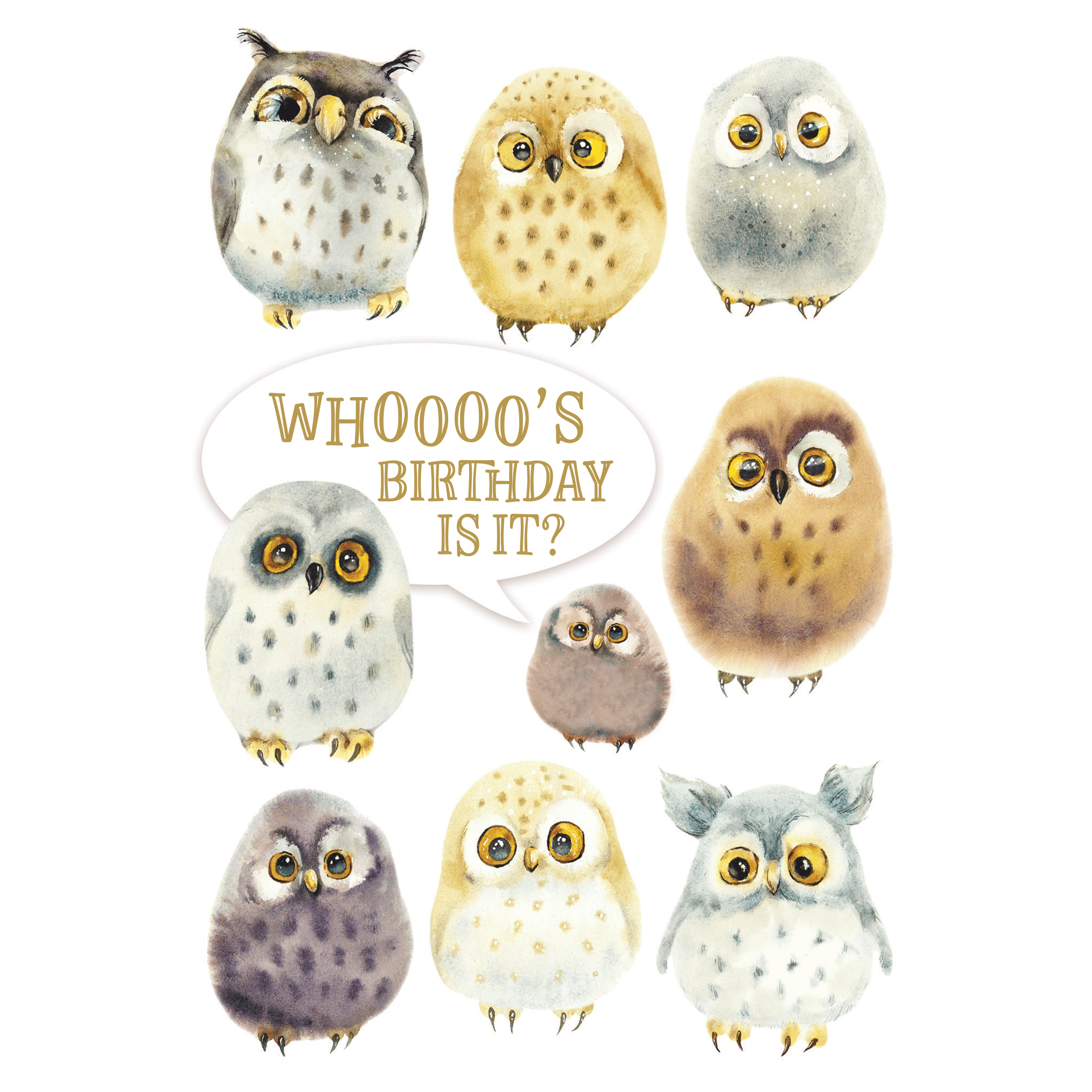 Colorful owls birthday card from Cardmore featuring cheerful owl illustrations on a festive greeting card.